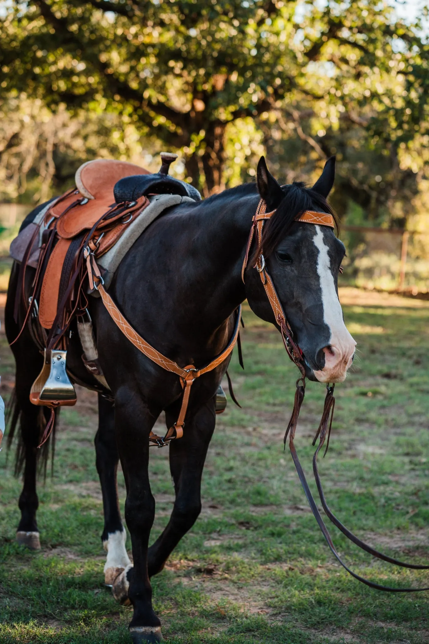 BC1176 - Toast Suede Breast Collar