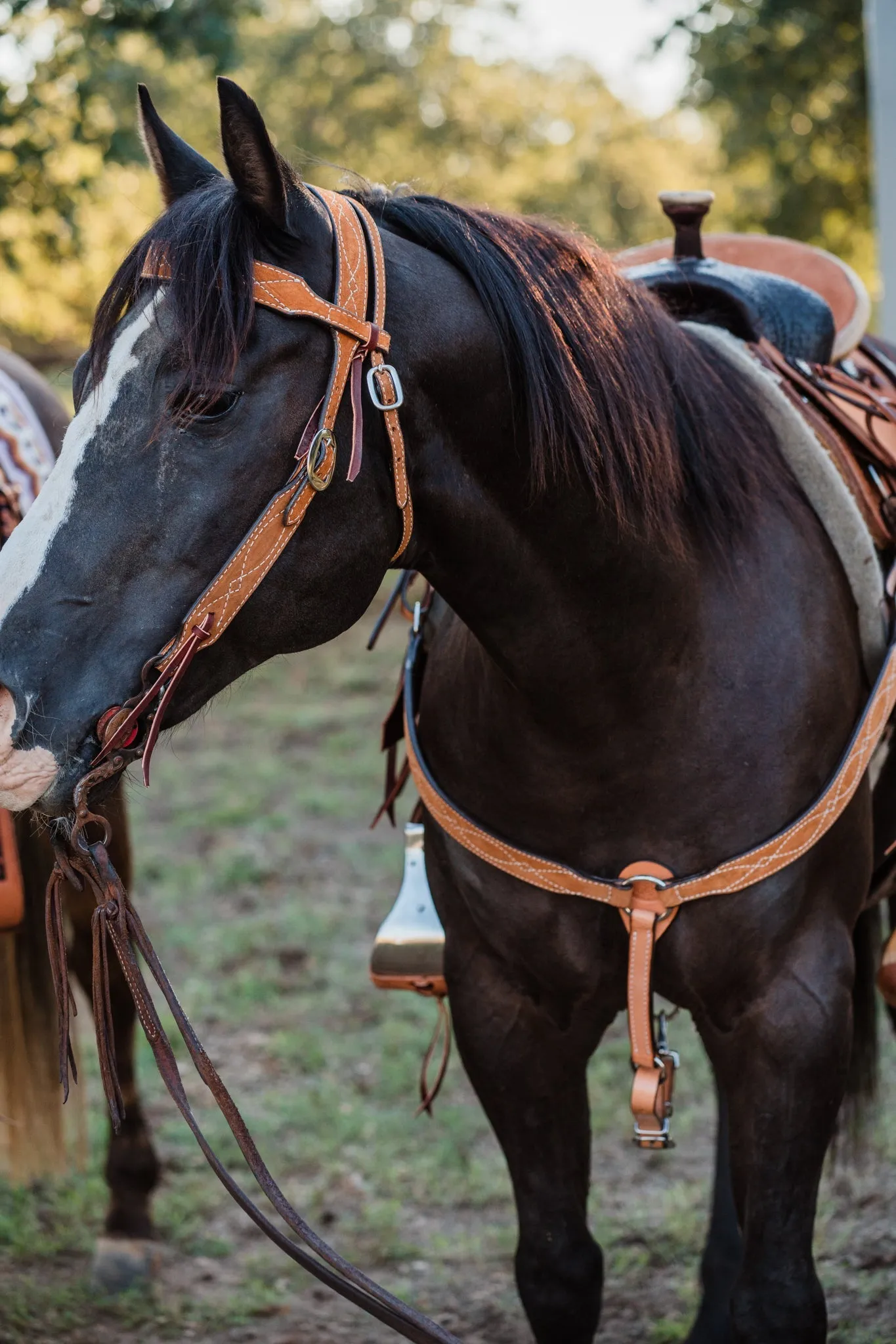 BC1176 - Toast Suede Breast Collar